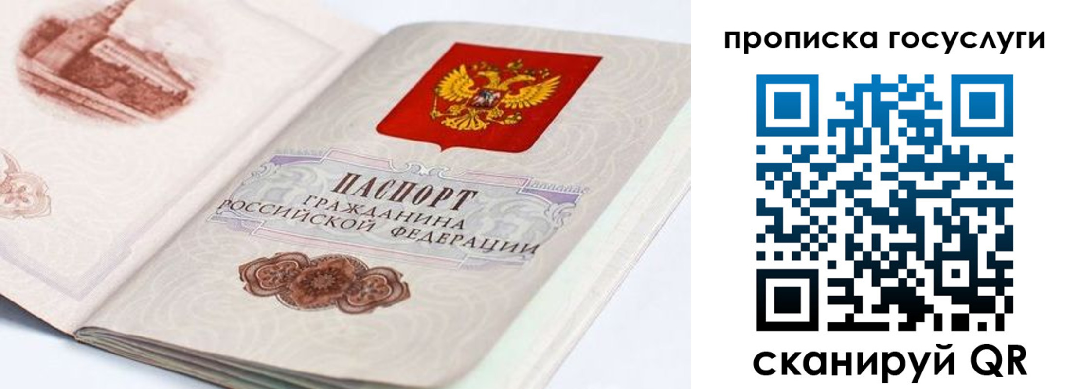 прописка регистрация в Реутове